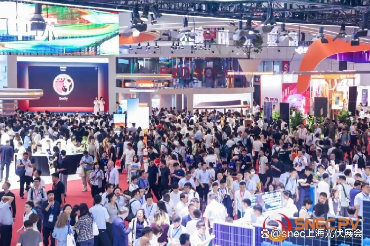 光伏大party：自救盖过狂欢!